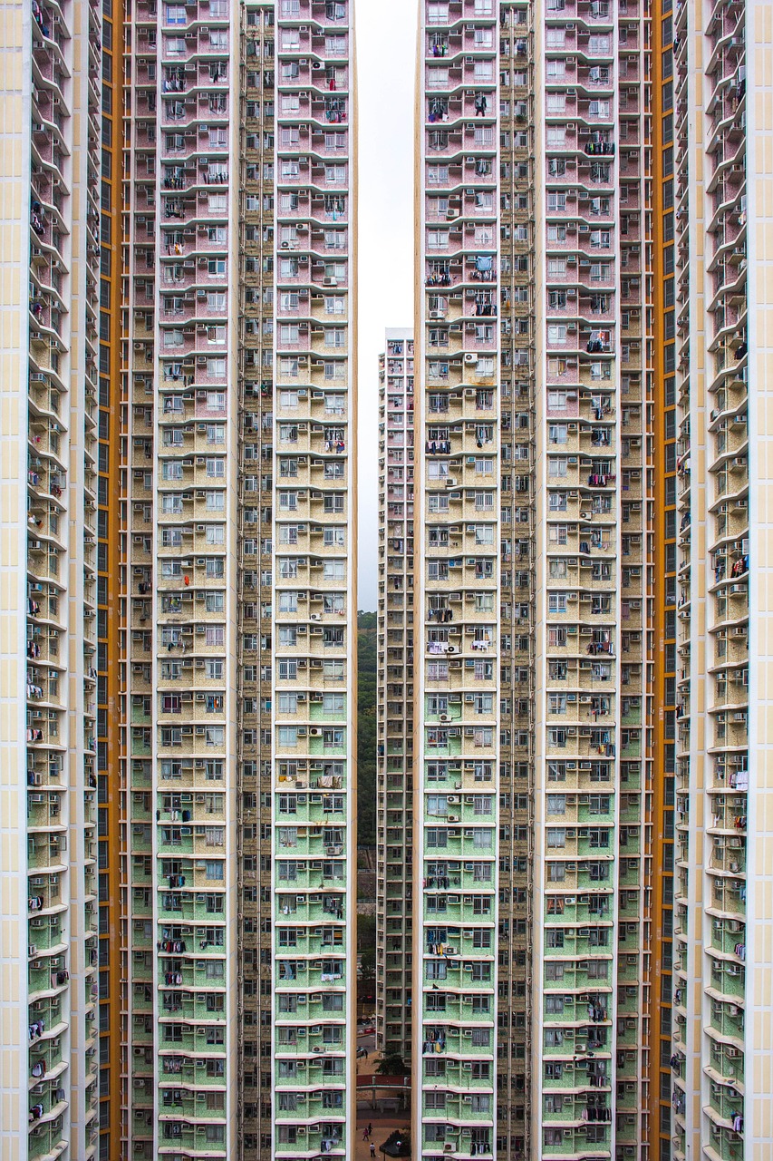 香港6合资料大全查，秀外慧中_迷你版QO8518.1269